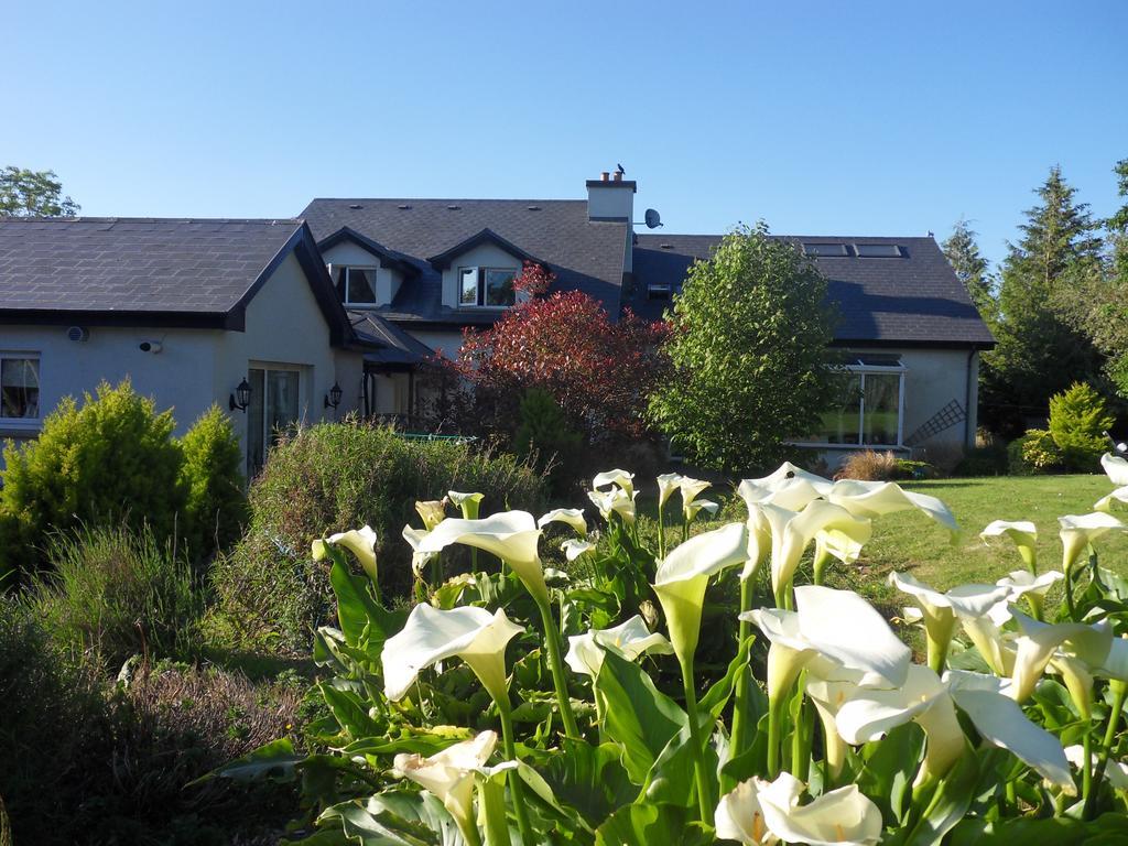 Ethan House Holiday Suites Κιλάρνεϊ Εξωτερικό φωτογραφία